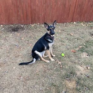 Meet your Posher, Mckenzie